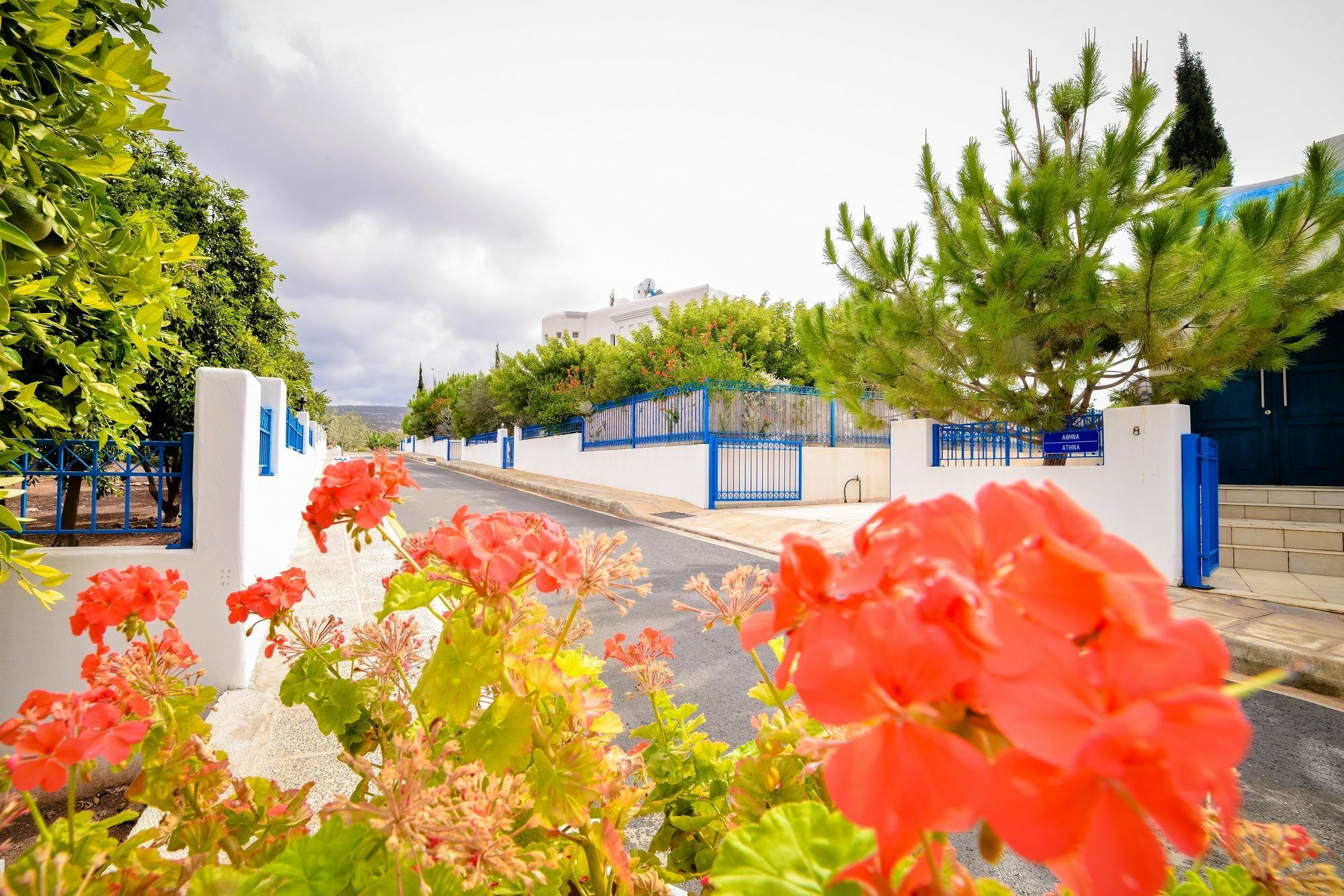Sanders Azzurro Paphos Exterior foto